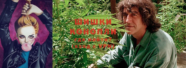 МДПВ Осташков
