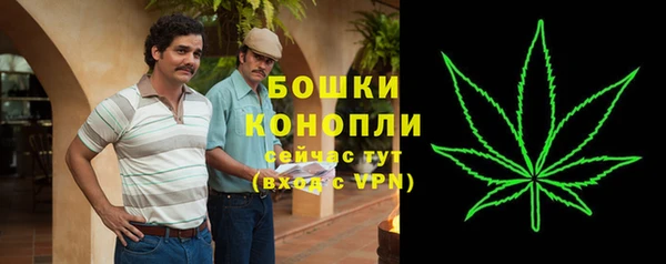 гидропоника Осинники