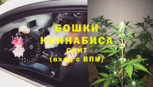 МДПВ Осташков