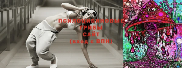мет Няндома