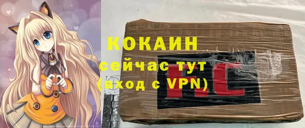 МДПВ Осташков