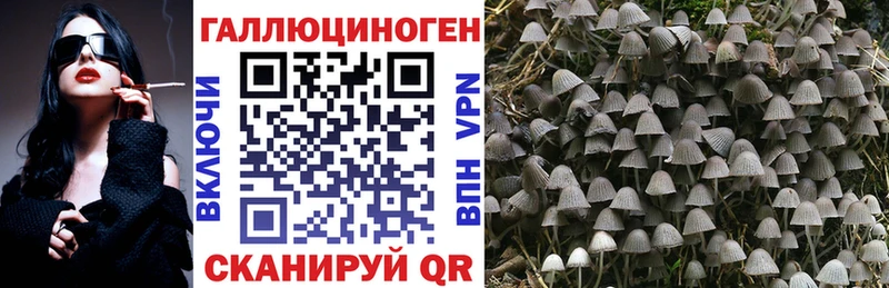 Псилоцибиновые грибы GOLDEN TEACHER  продажа наркотиков  Нюрба 